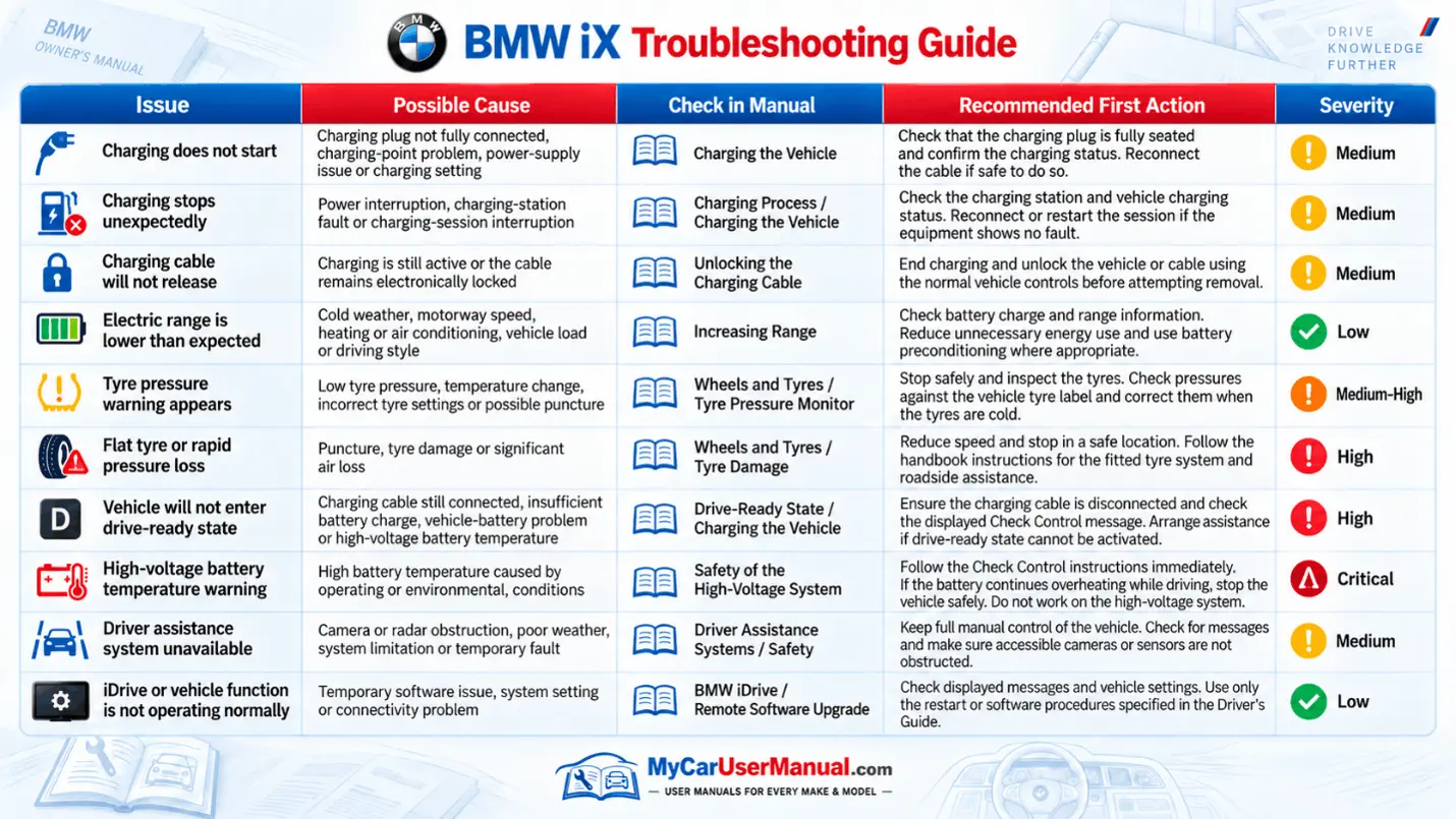 Bmw IX User Manual PDF