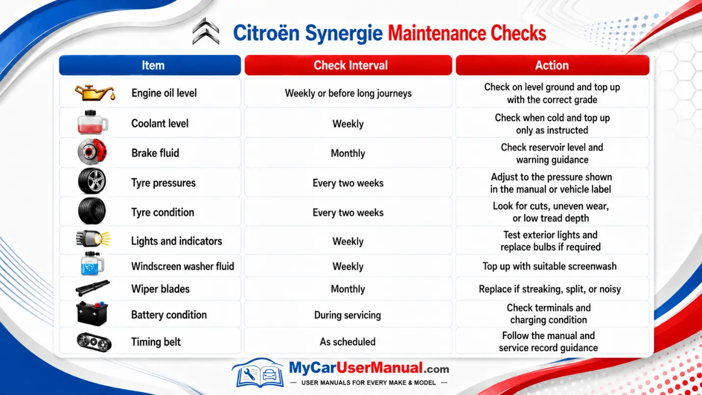 Citroen Synergie User Manual PDF