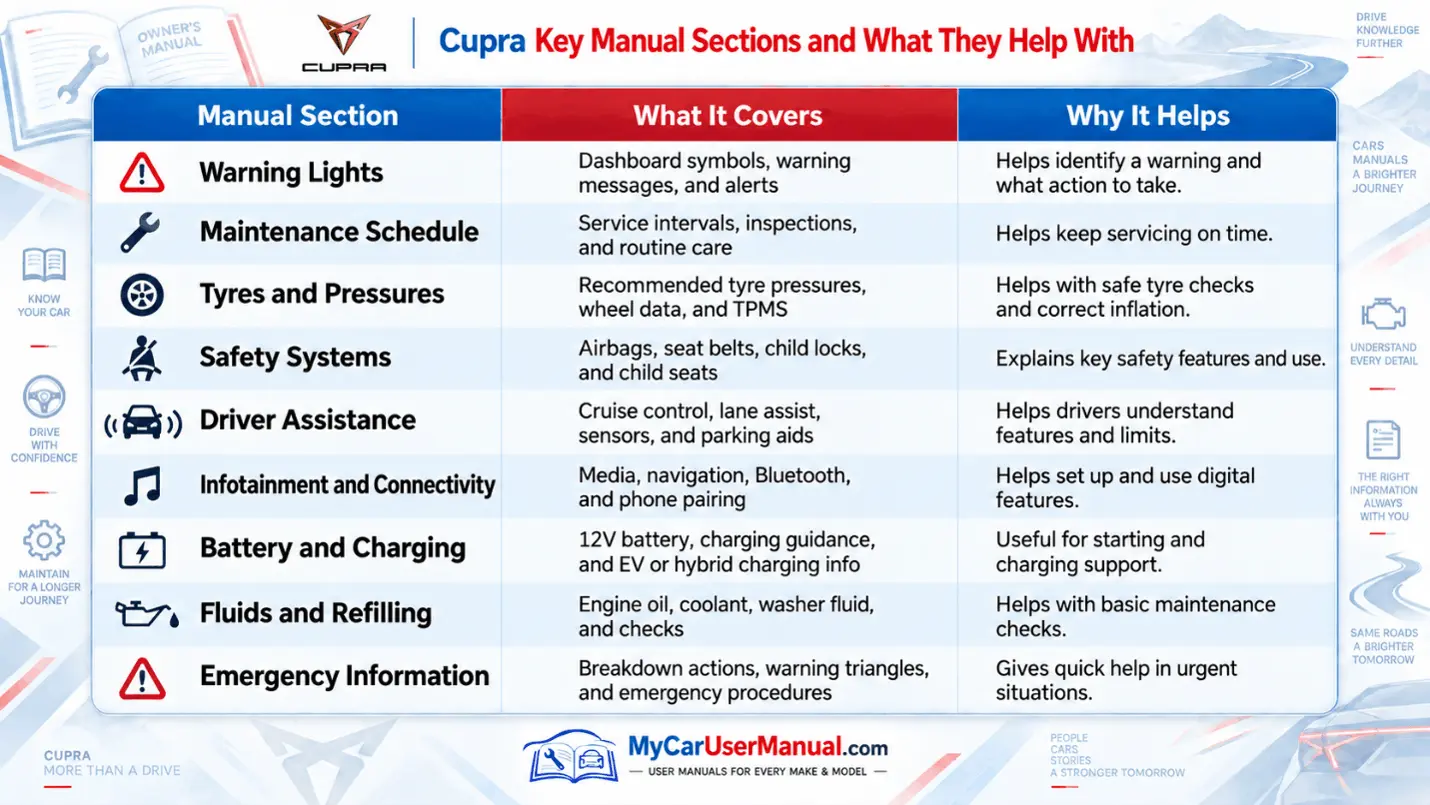 Cupra Manual PDF