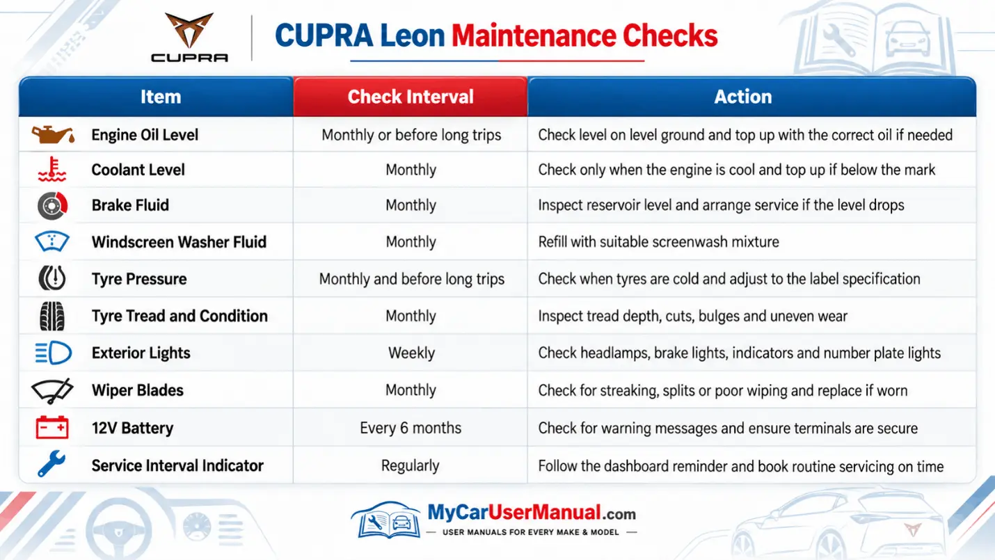 Cupra Leon User Manual PDF