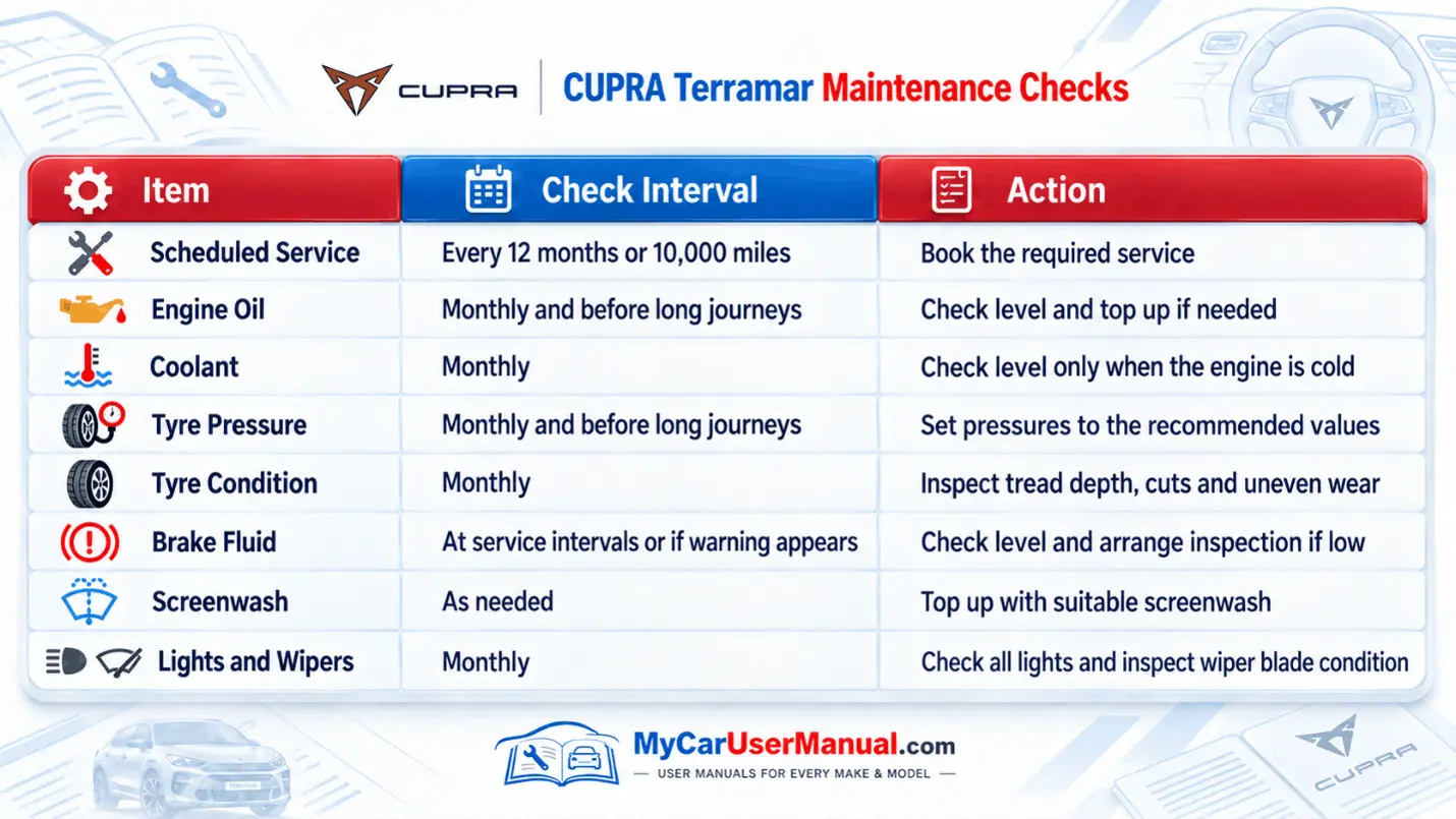 Cupra Terramar User Manual PDF
