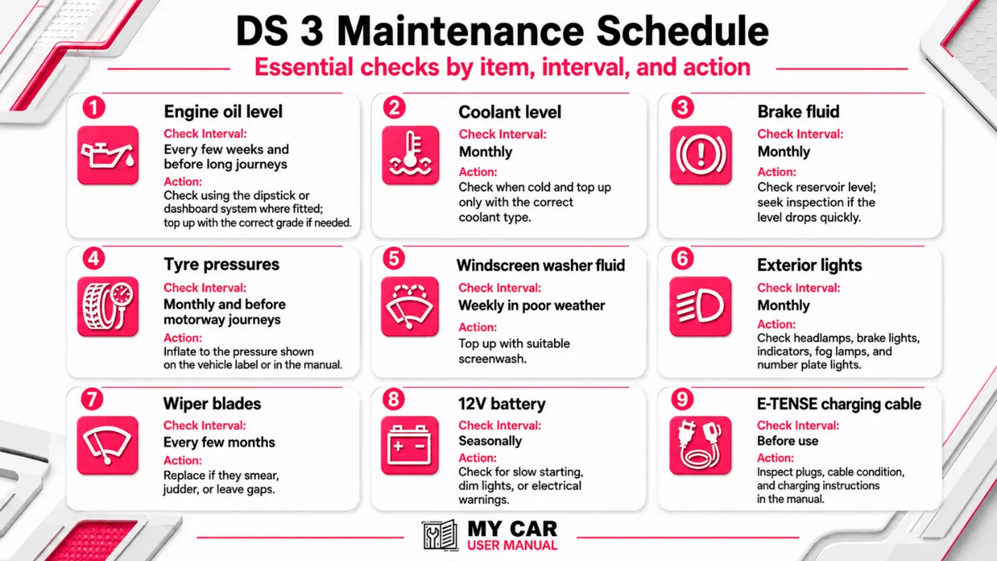 Ds 3 Manual PDF