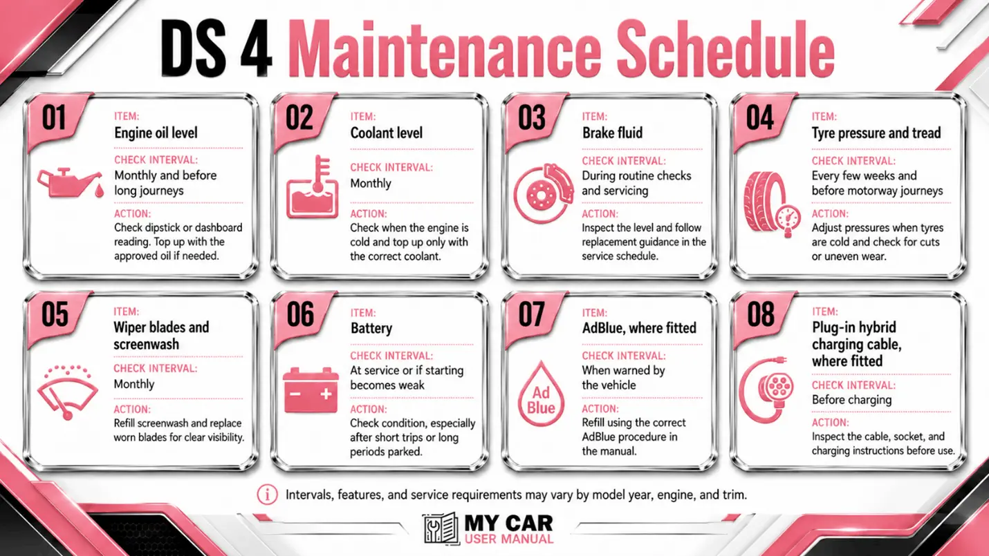 Ds 4 Manual PDF