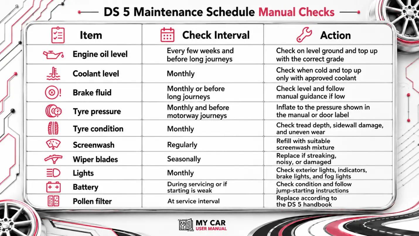 Ds 5 User Manual PDF