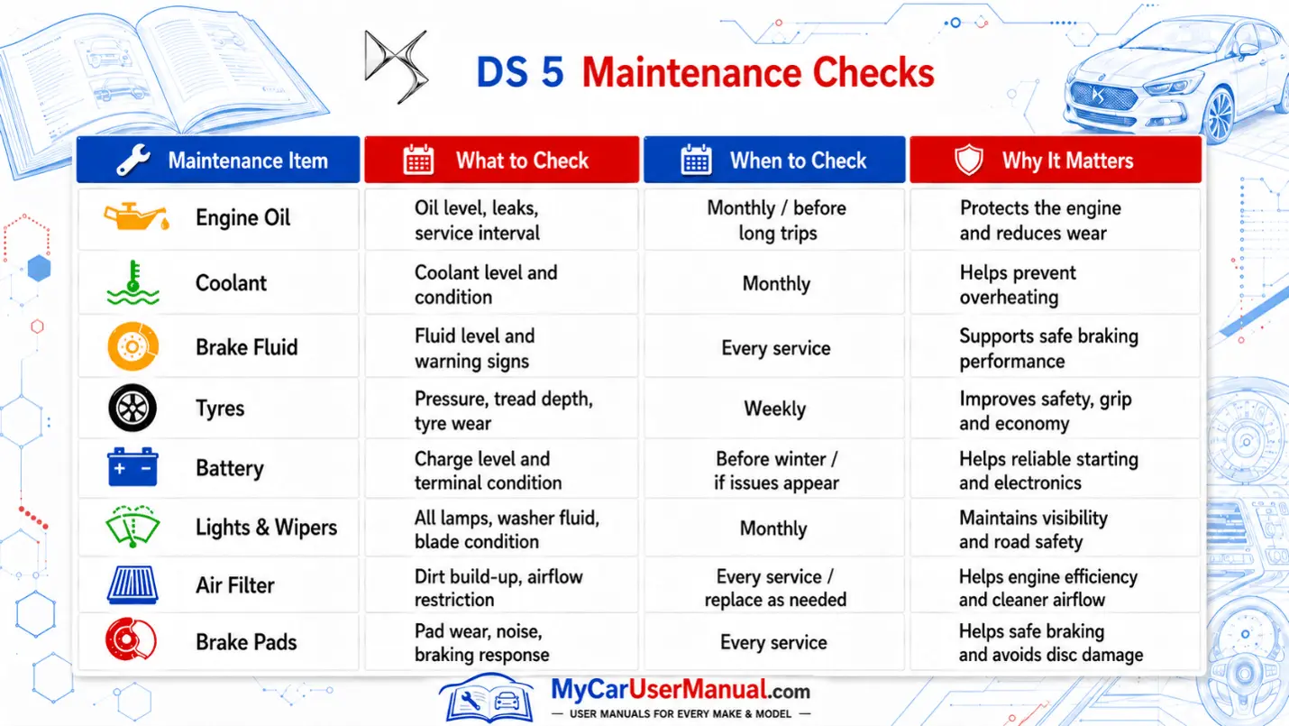Ds 5 User Manual PDF