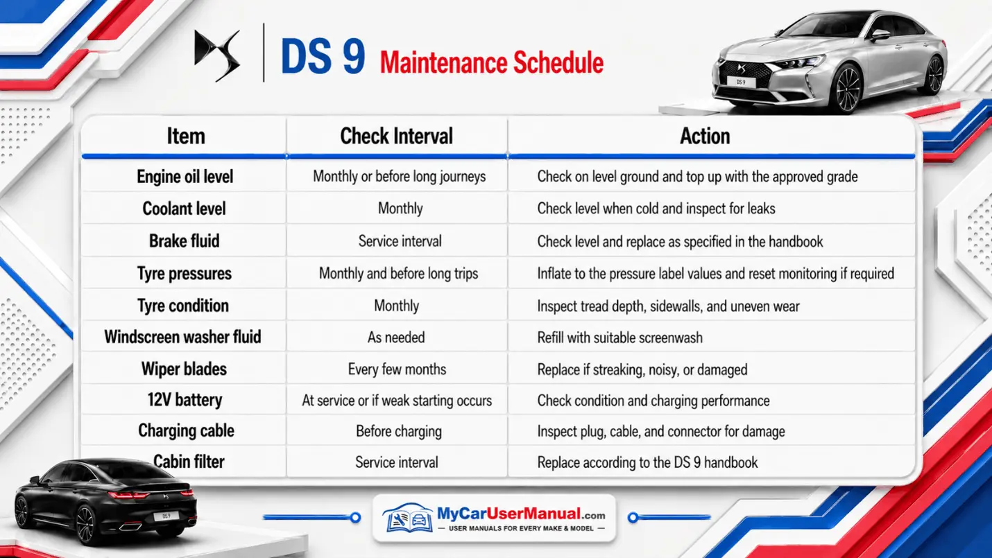 Ds 9 User Manual PDF