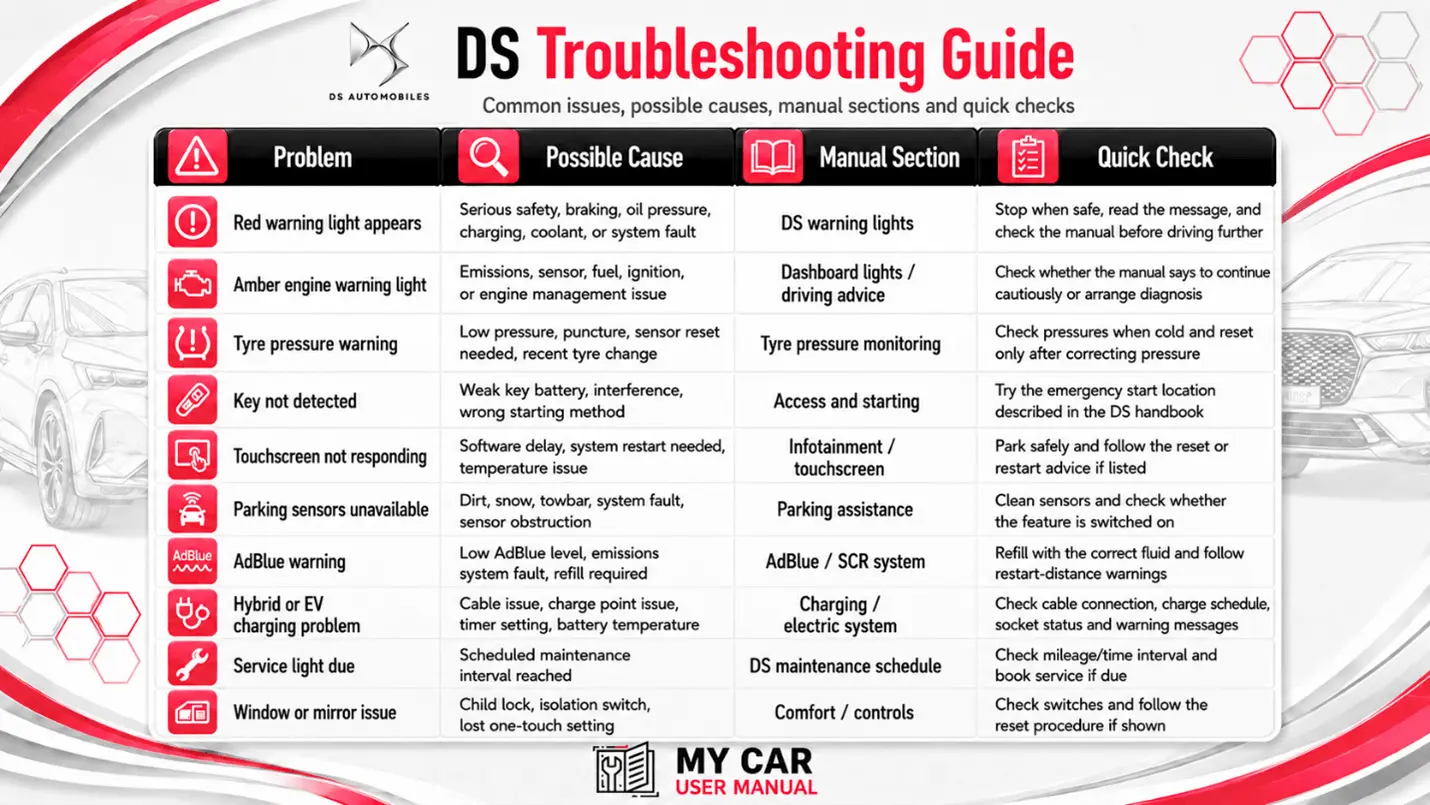 Ds User Manual PDF