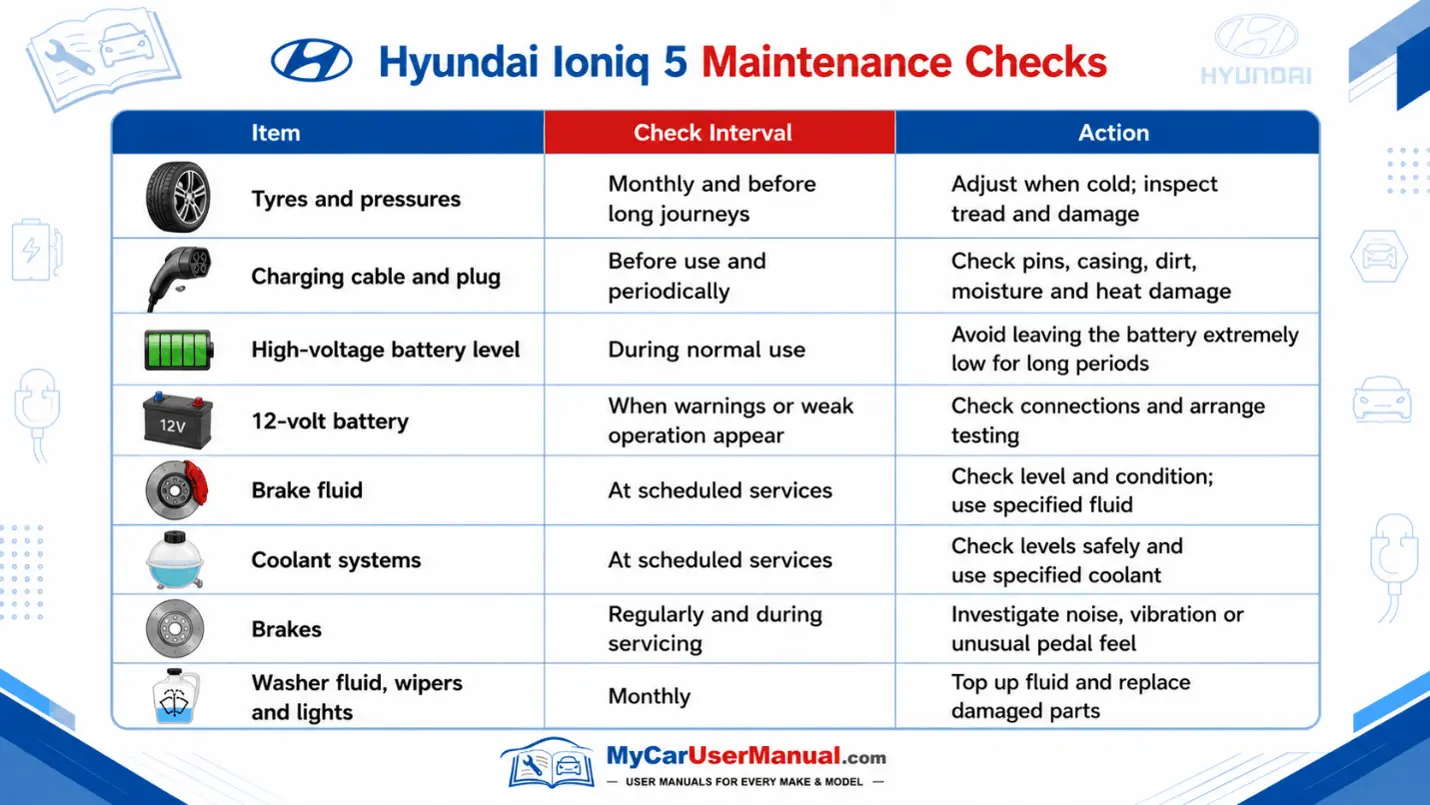 Hyundai Ioniq User Manual PDF