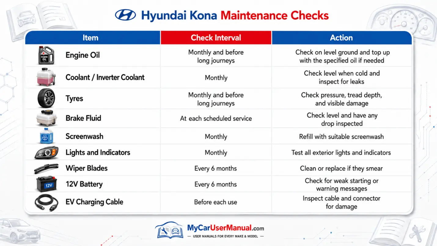 Hyundai Kona User Manual PDF