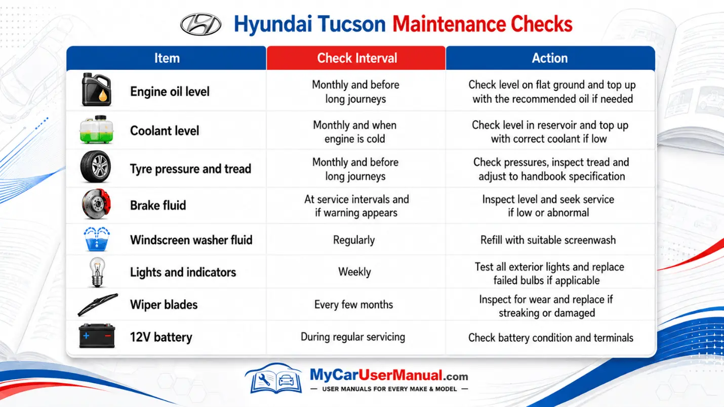 Hyundai Tucson User Manual PDF