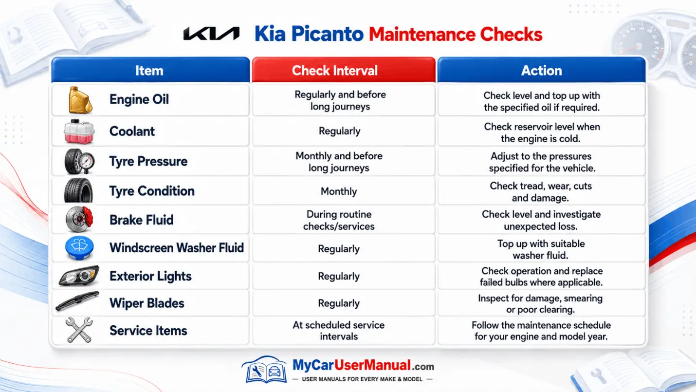 Kia Picanto User Manual PDF