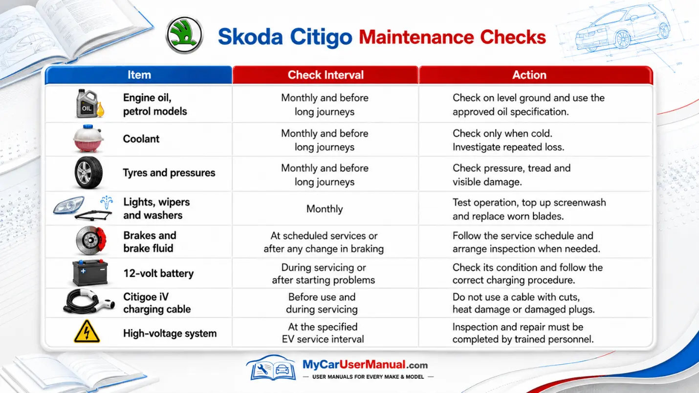 Skoda Citigo User Manual PDF