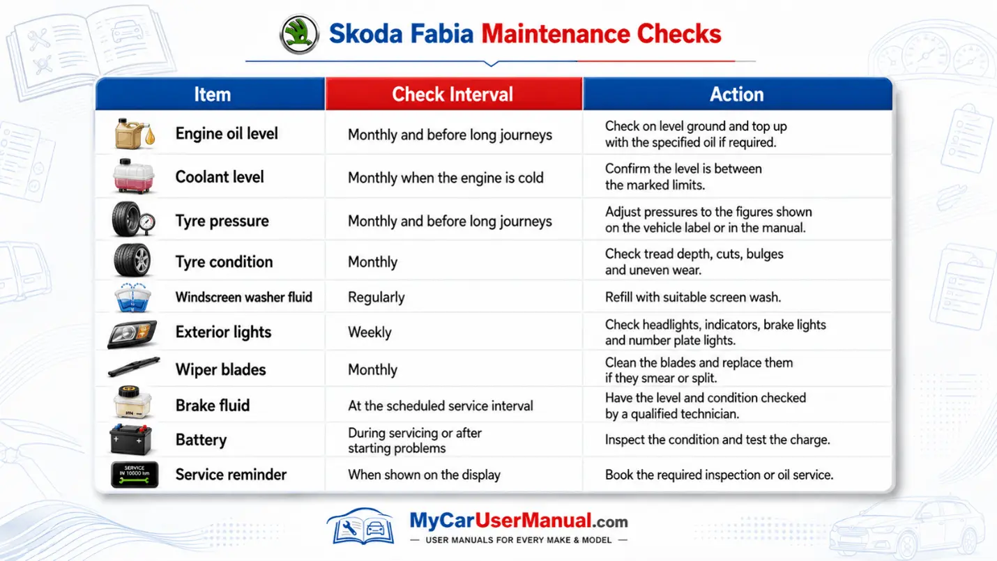Skoda Fabia User Manual PDF