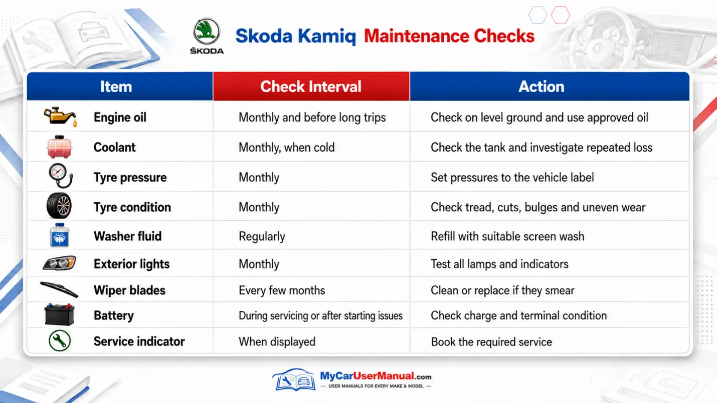 Skoda Kamiq User Manual PDF
