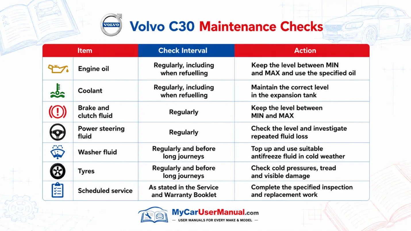 Volvo C30 User Manual PDF